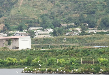 凤上线第 26 张图片
