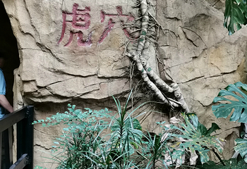 百虎山第 8 张图片