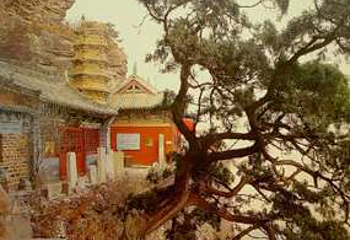福庆寺第 2 张图片