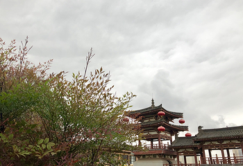 青龙寺第 73 张图片