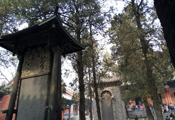 白龙观第 23 张图片