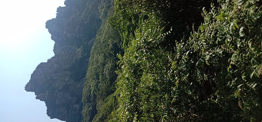 鄱阳湖候鸟保护区第 10 张图片