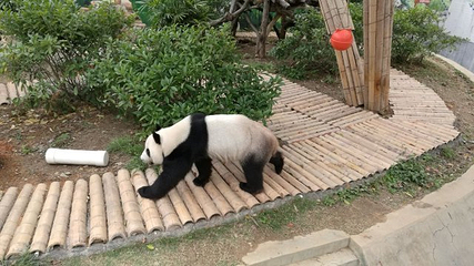 柳州动物园第 20 张图片