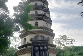 青秀山第 325 张图片