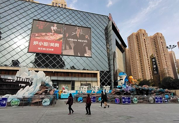 海豚乐园第 26 张图片