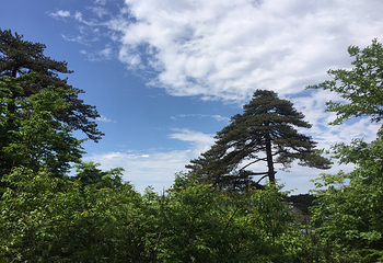 清凉峰第 15 张图片