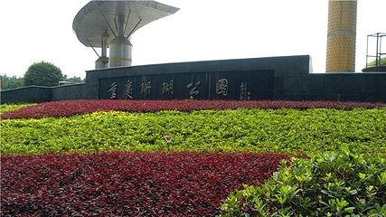 珊瑚公园第 6 张图片