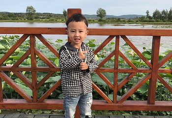 新青国家湿地公园第 8 张图片
