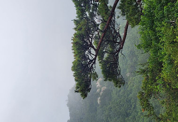 崂山九水游览区第 32 张图片