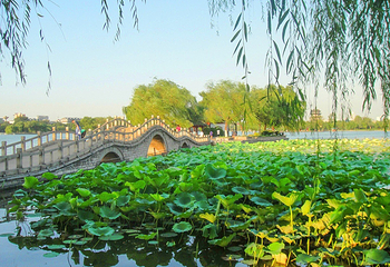 大明湖景区第 99 张图片