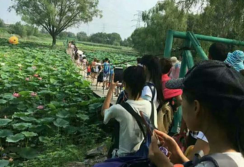 野草河湿地风景区第 11 张图片