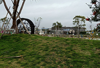 空港花海第 8 张图片