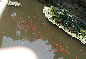 华清御汤·宝积池温泉第 58 张图片