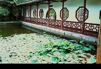 莫愁湖公园第 53 张图片