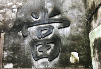 乌镇南栅第 19 张图片