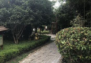 天悦湾温泉第 76 张图片