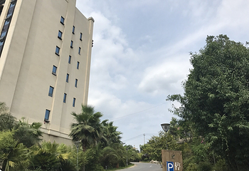 朝慕思生态观光园第 6 张图片