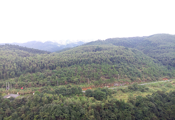 株洲酒埠江仙人桥旅游区第 18 张图片