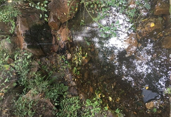 黄金寨原生态旅游区第 49 张图片