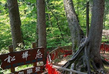 长白山大峡谷第 18 张图片