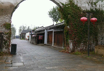 焦岗湖国家湿地公园第 37 张图片