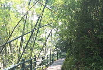 苏家围·东江画廊旅游景区第 27 张图片