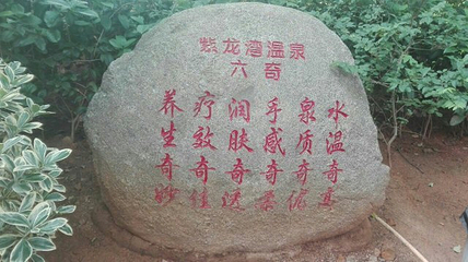 宁乡灰汤紫龙湾温泉度假区第 39 张图片