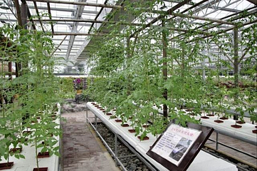 龙桥百花洲第 6 张图片