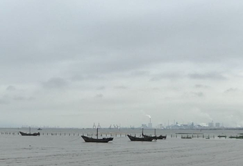 刘家湾赶海园第 49 张图片