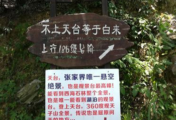 天台景区第 3 张图片