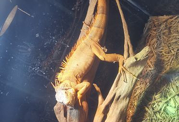 海昌海洋探索馆第 24 张图片