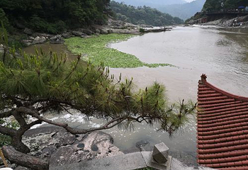 九鲤湖风景区第 31 张图片