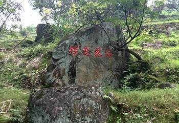 长泰鼓鸣岩风景区第 40 张图片