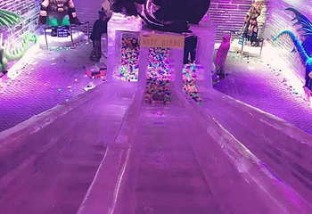 侏罗纪冰雪乐园(横岗店)第 48 张图片