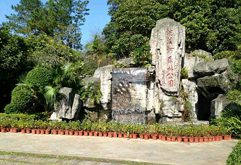 流溪河国家森林公园第 48 张图片