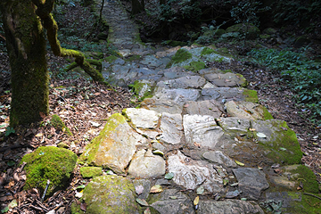 蓬壶百丈岩风景区第 32 张图片
