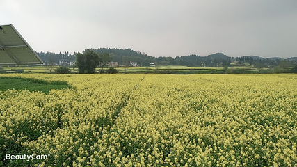 双江古镇第 10 张图片