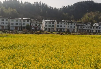 江岭景区第 46 张图片
