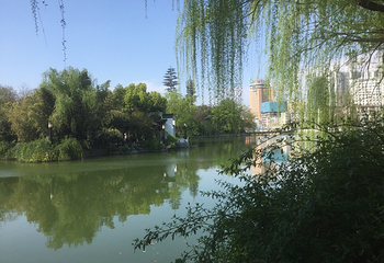 环城公园第 13 张图片