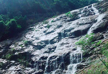 马峦山郊野公园第 26 张图片