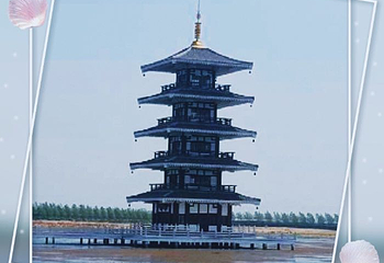 呼兰河口湿地公园第 52 张图片