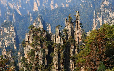 天子山风景区第 82 张图片