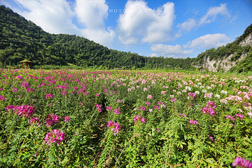 花坝旅游度假区第 36 张图片