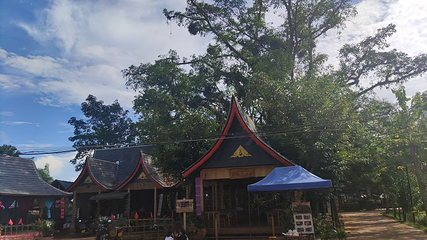 勐景来第 41 张图片