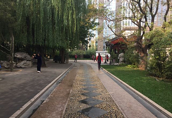 团结湖公园第 22 张图片