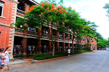 厦门大学(思明校区)第 82 张图片