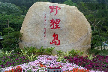 野狸岛第 35 张图片