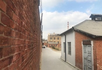 东鸡冠山景区第 23 张图片