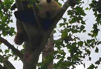 济南动物园第 59 张图片