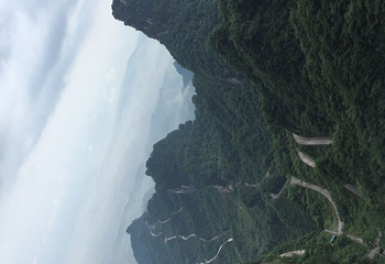 采凉山第 2 张图片